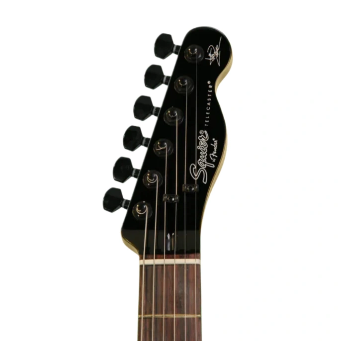 Электрогитара Fender Squier Avril Tele Skull Inlay BLK