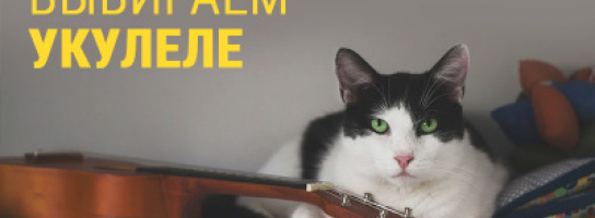 Как выбрать укулеле? Полезные советы от "Музыки"