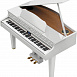 Цифровой рояль Roland GP607 PW