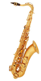 Саксофон тенор  Selmer TS700