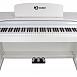 Цифровое пианино Solista DP801WH