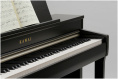 Цифровое пианино Kawai CN-37 R