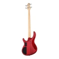 Бас-гитара Cort Action Bass Plus TR