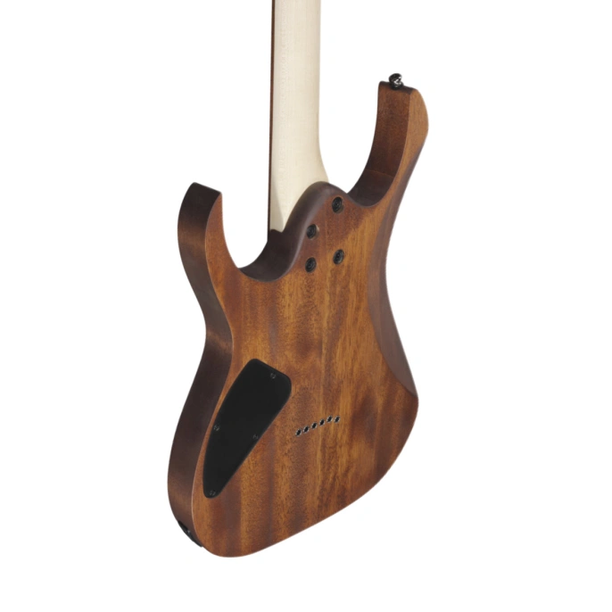 Электрогитара Ibanez RG421-MOL