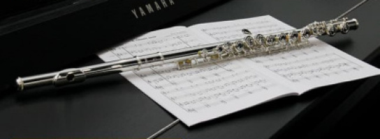 Есть имена финалистов флейтового конкурса "Мы верим в МУЗЫКУ! 2019" 