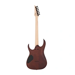 Электрогитара Ibanez GRG121DX WNF