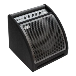 Активный монитор Soundking DS50
