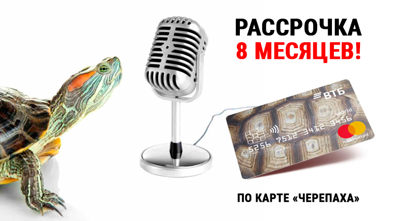 С "Черепахой" - покупки в радость! Новая карта рассрочки в "Музыке"!