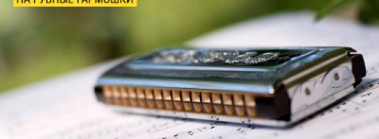 Встречаем весну подарками: скидки на губные гармошки до 40%!