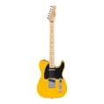 Электрогитара Fender STD Tele MN BPG BTB