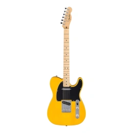 Электрогитара Fender STD Tele MN BPG BTB