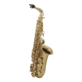 Саксофон альт Eb Roy Benson AS-202