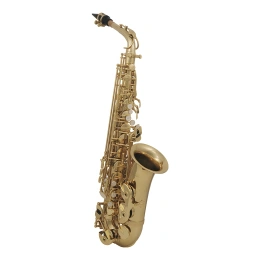 Саксофон альт Eb Roy Benson AS-202