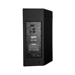 Акустическая система Acury DS12W