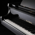 Рояль Kawai GX1 E/P 166см