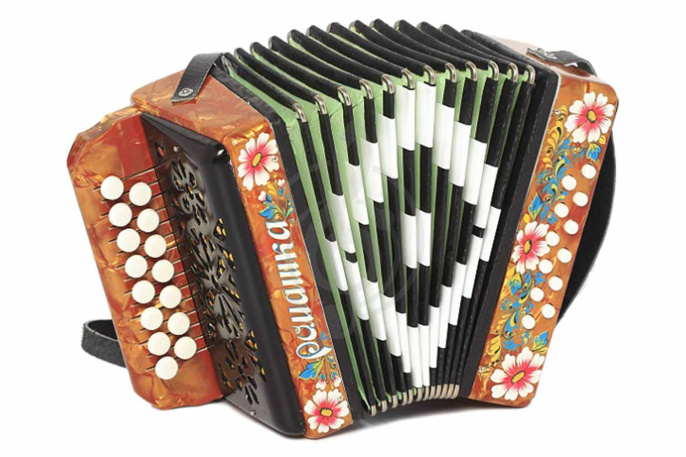Гармонь ''Шуйская'' Ромашка ДО S20 XL