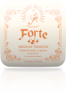 Струны для скрипки 4/4 Господин Музыкант Forte VN327