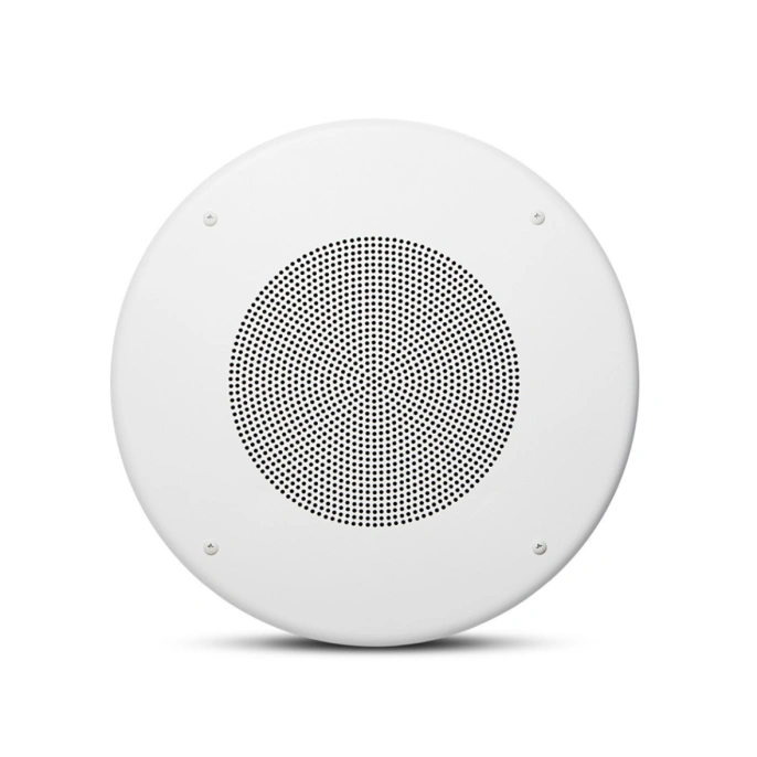 Громкоговоритель JBL CSS8018
