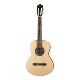 Гитара классическая Alhambra 8.895 Green Sustain Clasical