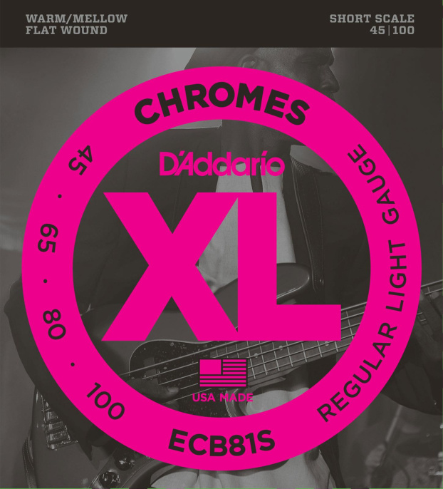 Струны для бас-гитары D’Addario ECB81S