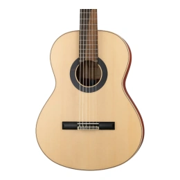 Гитара классическая Alhambra 8.895 Green Sustain Clasical
