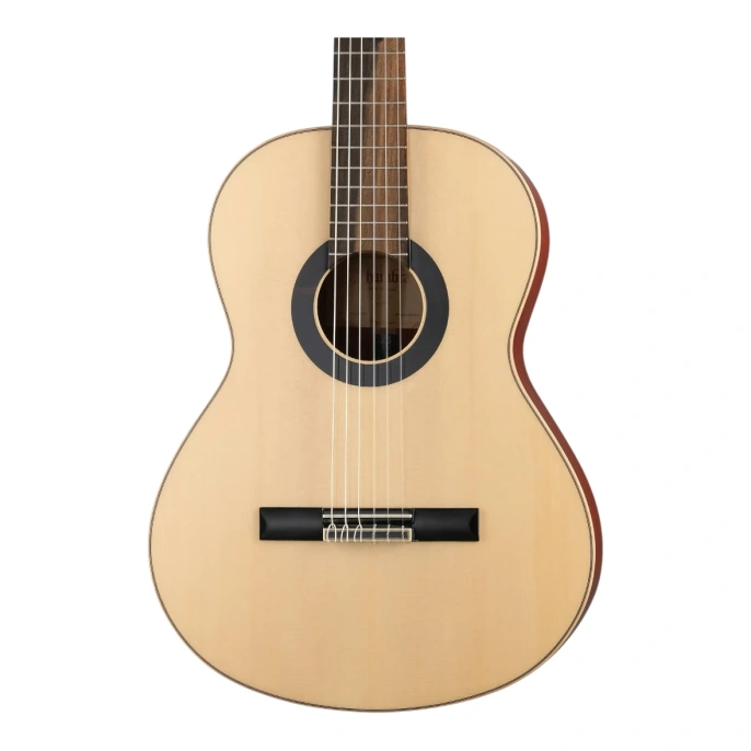 Гитара классическая Alhambra 8.895 Green Sustain Clasical