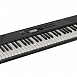 Синтезатор NEK-100, Nux