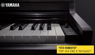 Снова новинки от Yamaha: Arius YDP-164 уже в "Музыке"!