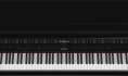 Цифровое пианино Roland LX-17 PE Set