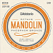 Струны для мандолины D'Addario EJ80
