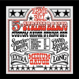 Струны для банджо  Ernie Ball P02309
