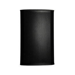 Акустическая система Acury DS15W