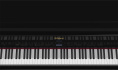 Цифровое пианино Roland LX-17 PW Set