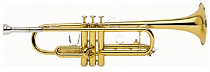 Труба  Bach TR300H