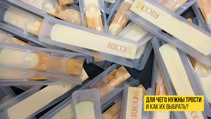 Для чего духовым инструментам нужны трости и как их выбрать