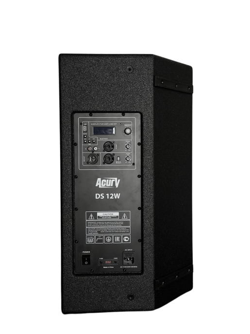 Акустическая система Acury DS12W