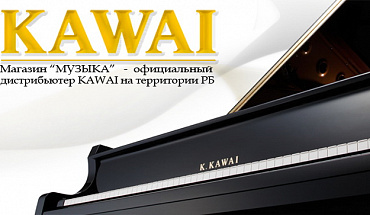 «Кавайные» цифровые пианино в МУЗЫКЕ