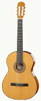 Акустическая гитара Hofner HC503
