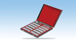 Набор губных гармошек Swan SW1020-12T