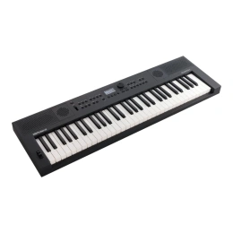 Цифровое пианино Roland GO:KEYS-5 Graphite