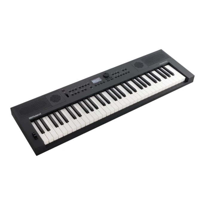 Цифровое пианино Roland GO:KEYS-5 Graphite