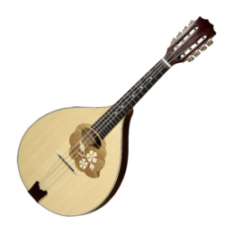 Мандола Hora M1088 RgII