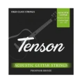 Струны для акустической гитары Tenson GEWApure F600745