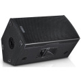 Акустическая система db Technologies VIO X12