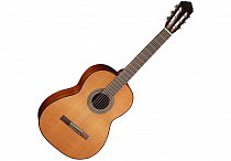 Классическая гитара Cort AC100 SG