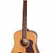 12-ти струнная гитара Caraya F66012