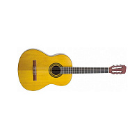 Акустическая гитара  Takamine C20 (A039041)