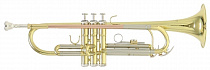 Труба Bb Roy Benson TR-403 RB701.084