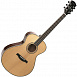 Гитара акустическая Parkwood P630 NAT