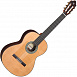 Гитара классичеcкая Alhambra 5Fp OP Piñana